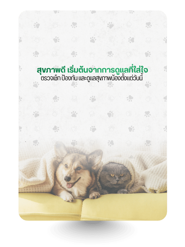 โรงพยาบาลสัตว์มาลีวัลย์ (10)